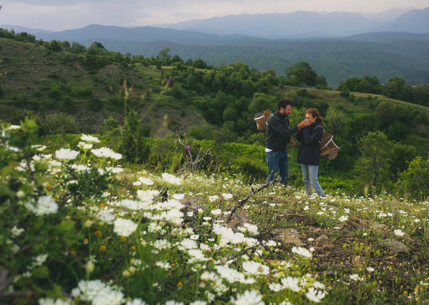 Apiary in the mountains of Epirus