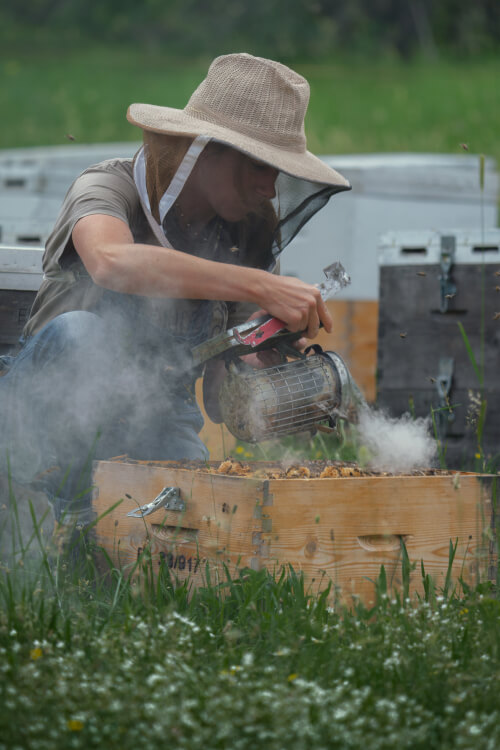 DRYMA beekeeping in Epirus